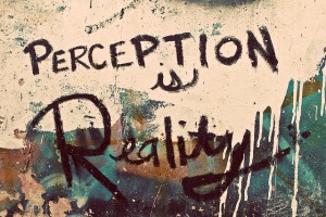 semantics impact perception in learning programs