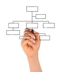 organizational-hierarchy-and-the-training-department